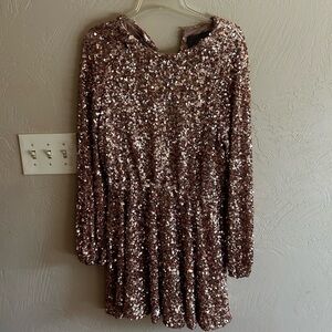 Anthropologie size L sequins cinched waist dress.